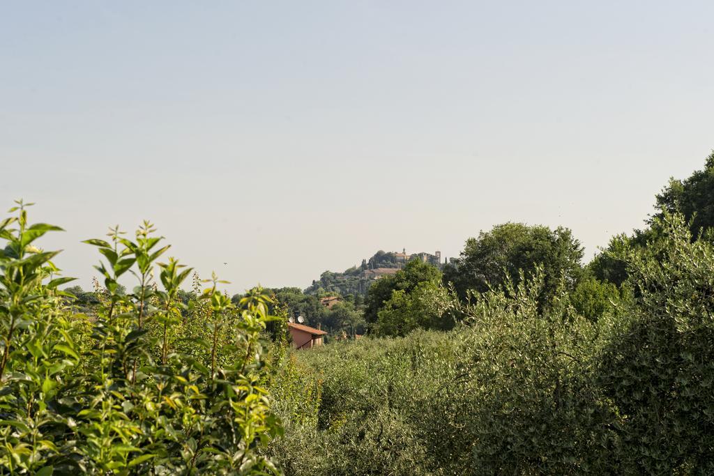 Agriturismo I Roseti Montepulciano Bilik gambar